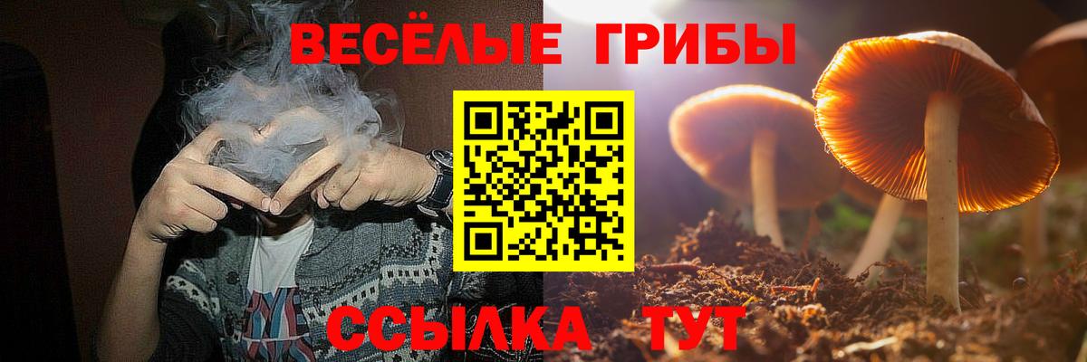 Псилоцибиновые грибы Psilocybine cubensis Анапа